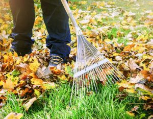 prepare your lawn for canadian winters