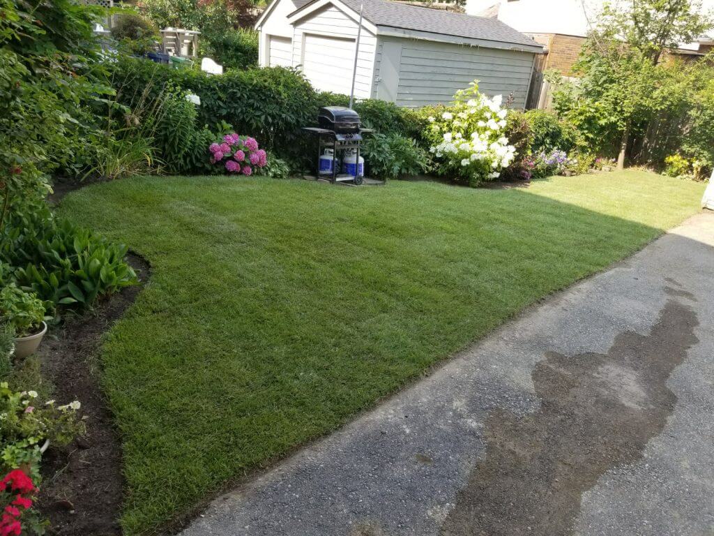 lawn-care-maintenance-mississauga-mylandscapers-landscaping-services