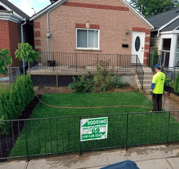 Toronto Sodding 
Lawn replacement 
Sod installation