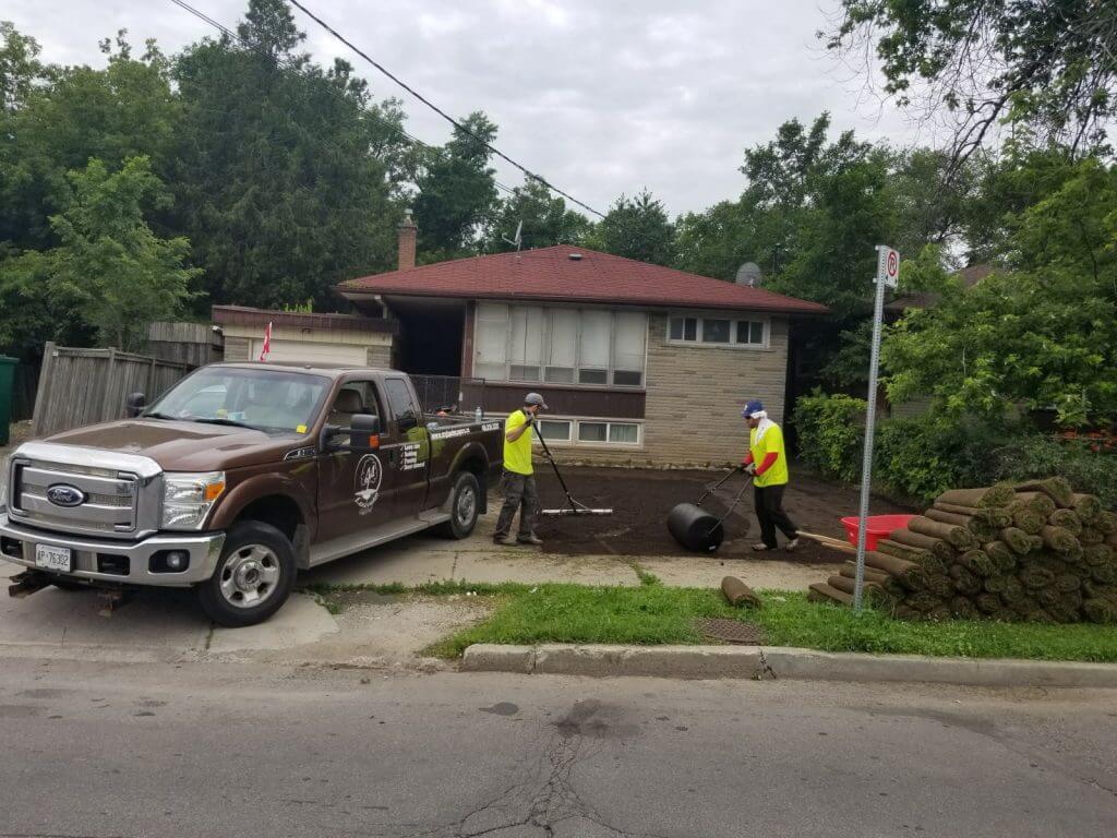 sodding-new-sod-grass-lawn-roller-my-landscapers-toronto