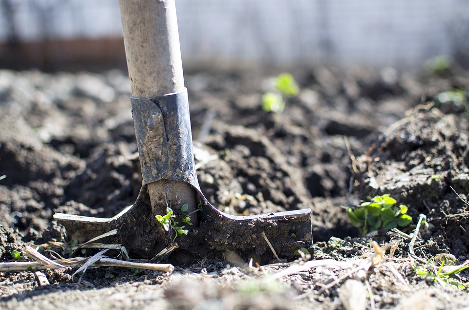 sodding-digging-sod-grass-installation-my-landscapers-toronto