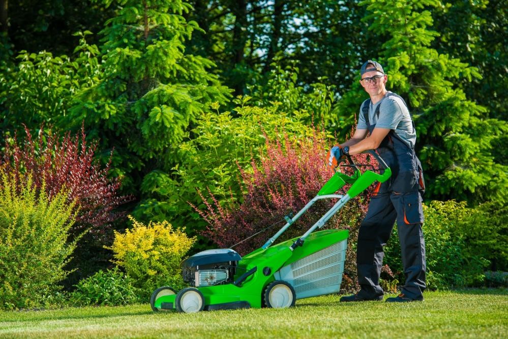commercial landscaping & lawn care