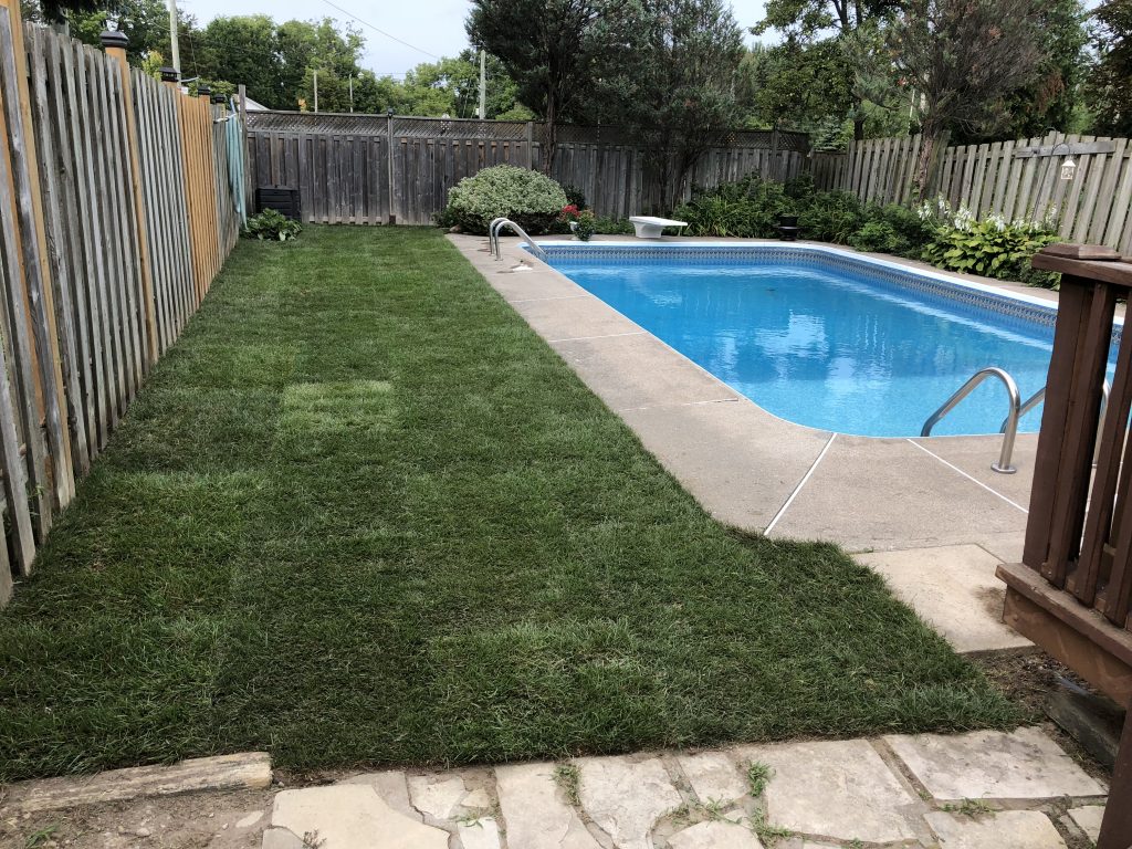 sod replacement