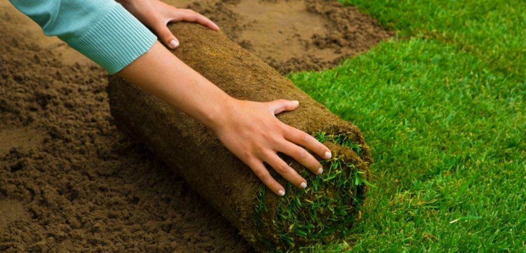 Grass Installation