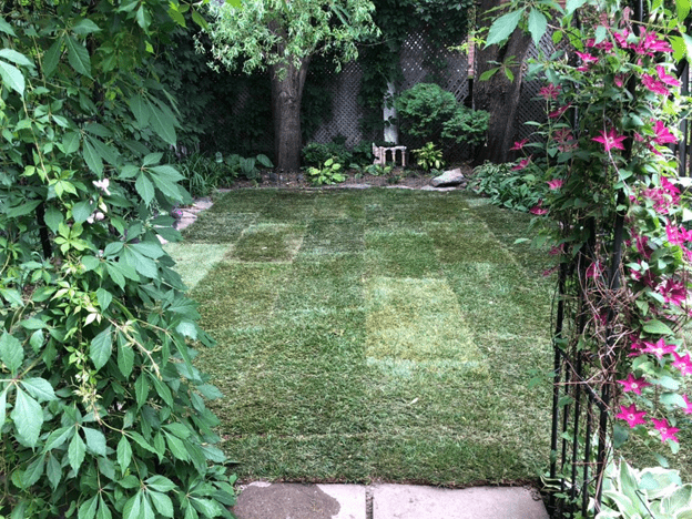 grass installation