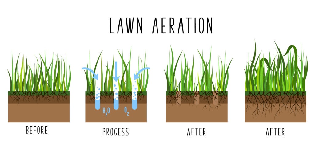 Lawn aeration process steps - before and after, lawn grass care service, gardening