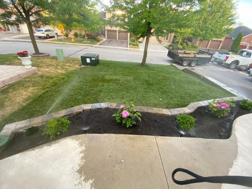 sod landscaping costs
