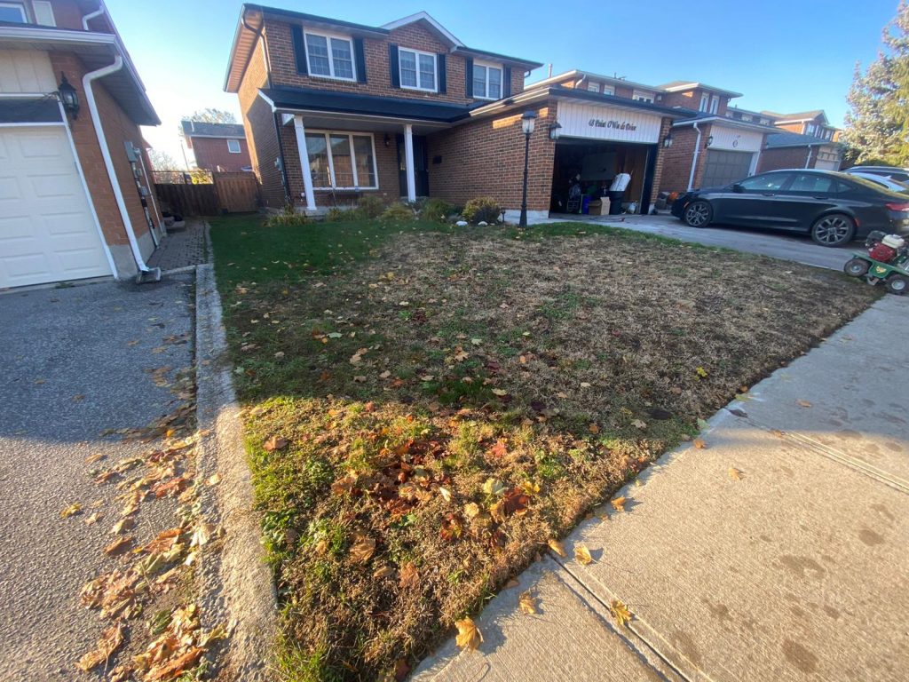 Sod Installation