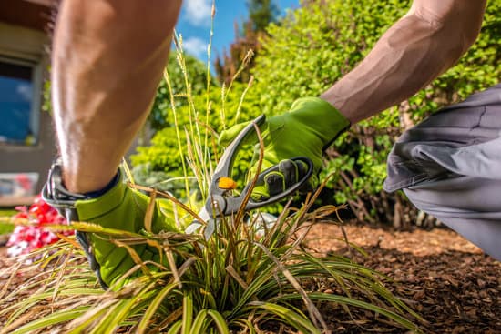 yard installation