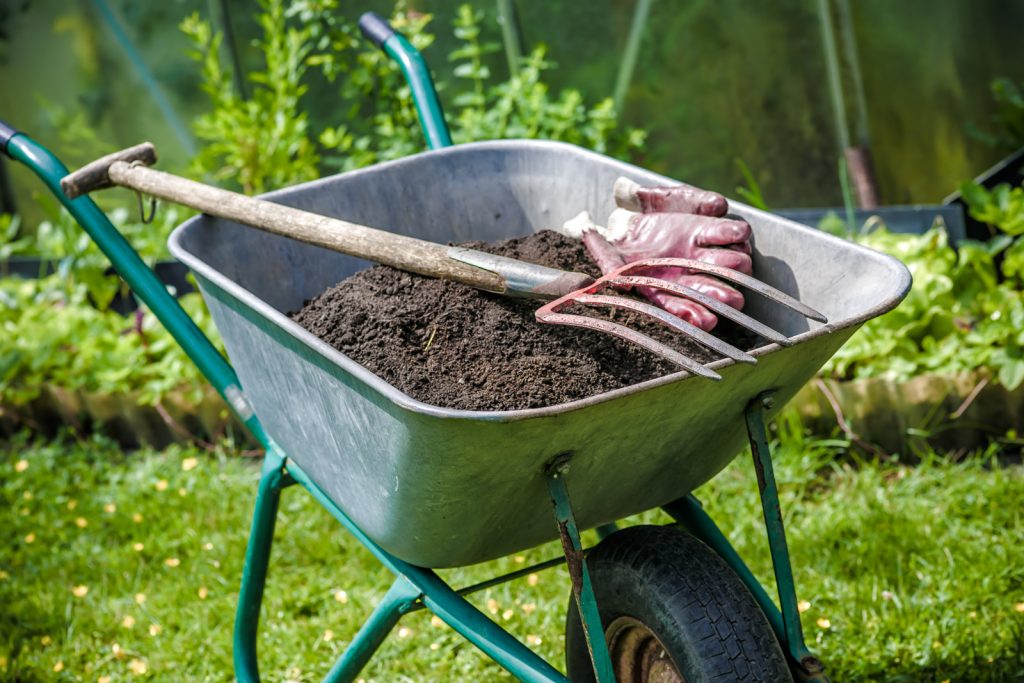 landscaping in Toronto