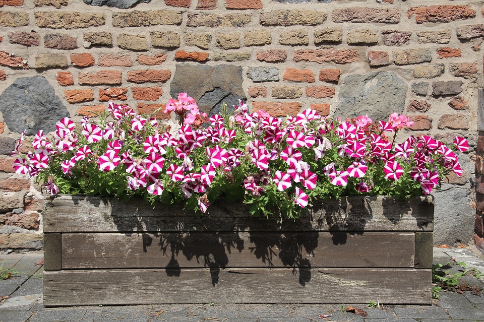 raised planter boxes