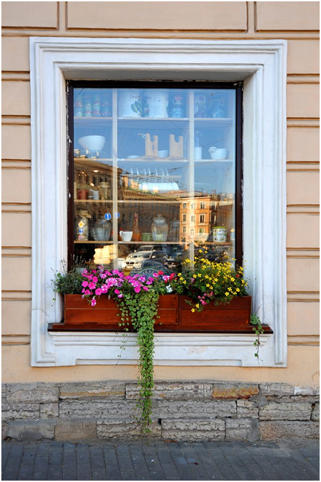 window boxes