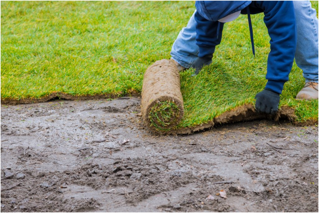 installing sod