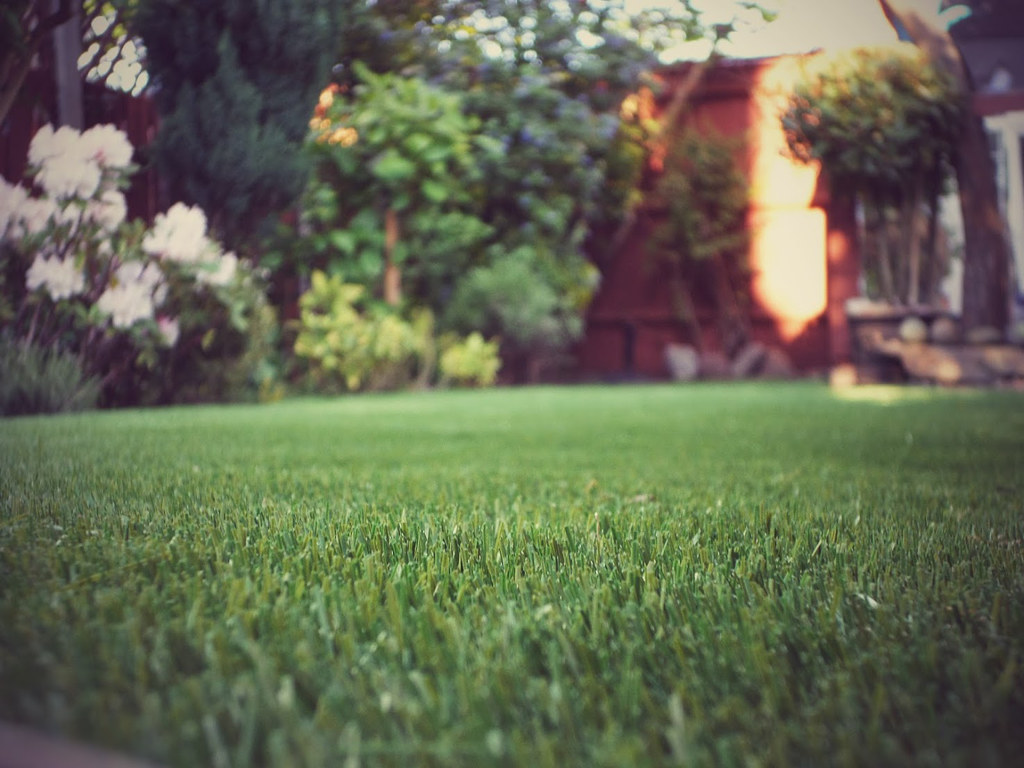 grass installation