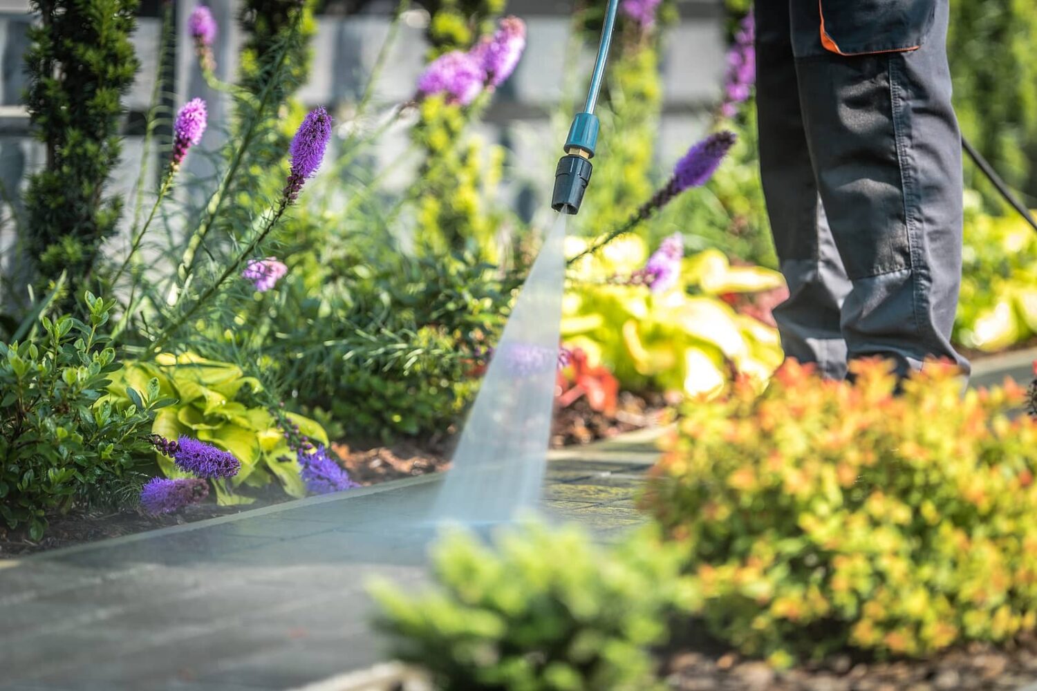 Spring cleaning your garden