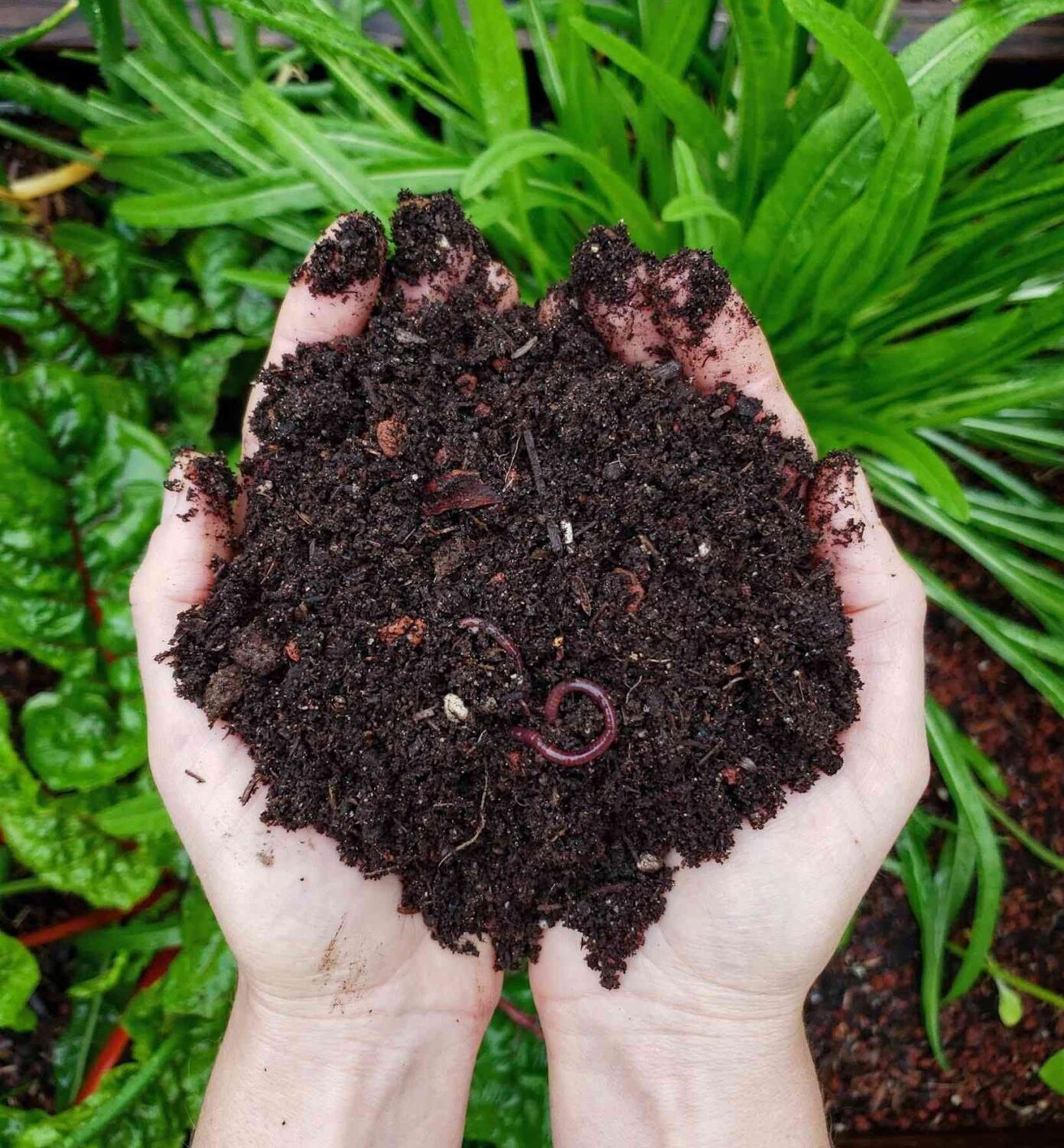 composting