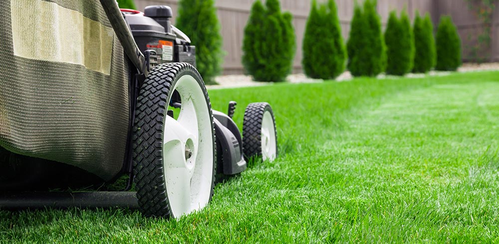 Germantown Landscapers Lawn Maintenance