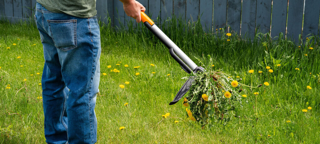 Weed Control Strategies In The Fall