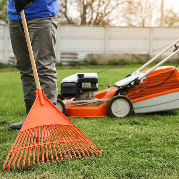 Lawn Care Aeration Dethatching