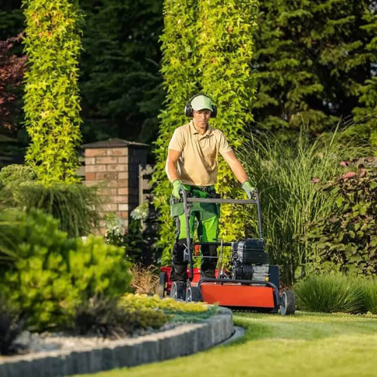 Lawn Care Mowing The Lawn