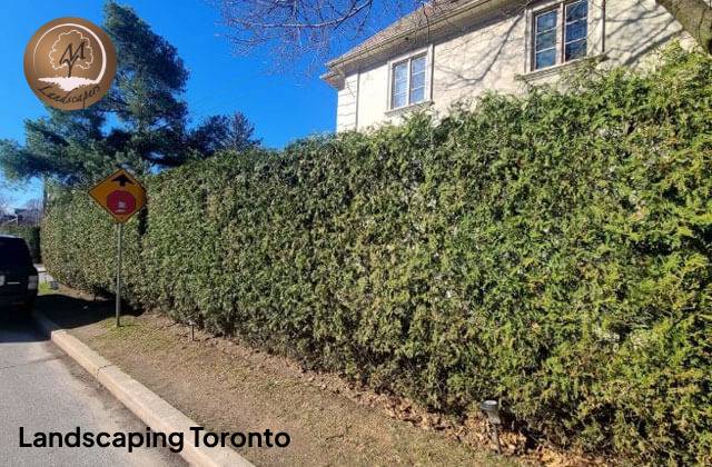 Landscaping Toronto