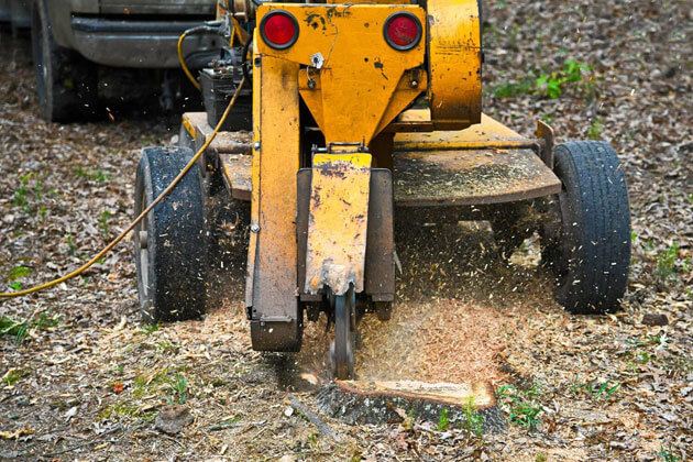 Bridal Path Landscaping Stump Removal