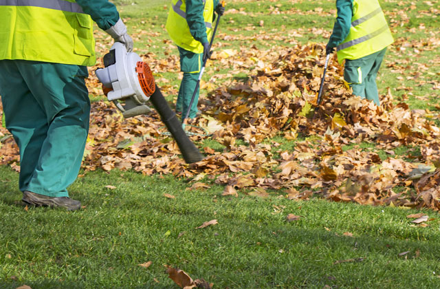 Landscaping Bridal Path Lawn Cleanup