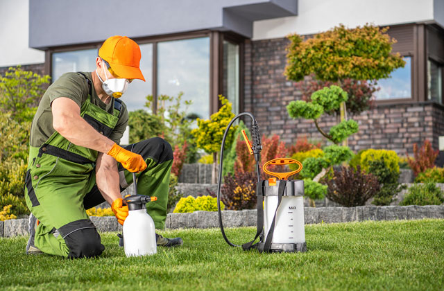North York Landscapers Lawn Care