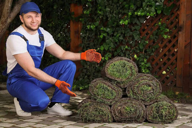 York Mills Landscaping Sod Installers