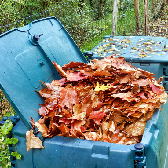 Fall Lawn Clean Up Composting Leaves