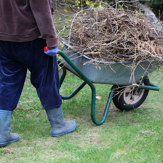 Spring Lawn Clean Up Remove Debris