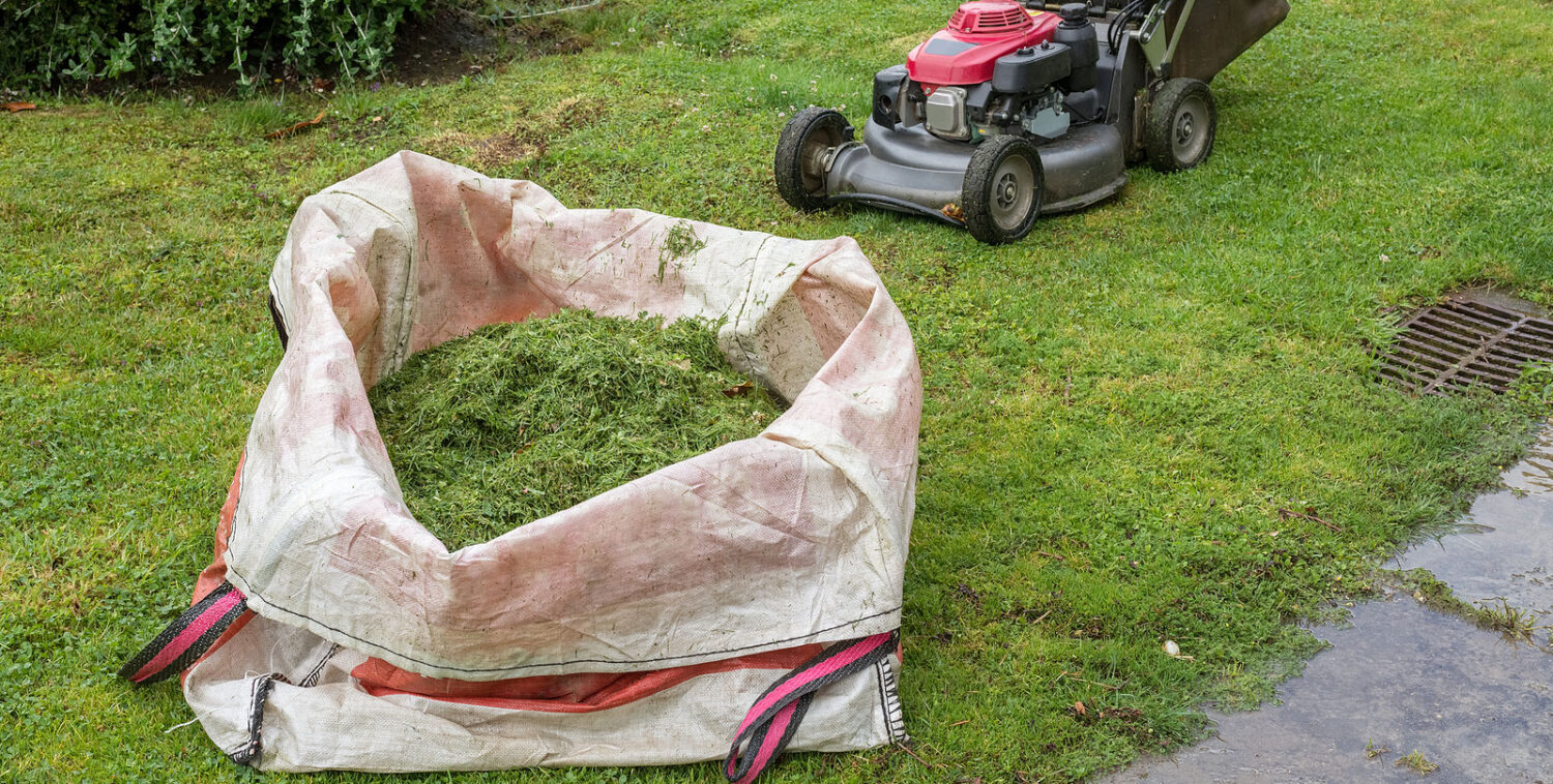 Why You Should Bag After You Cut Your Grass