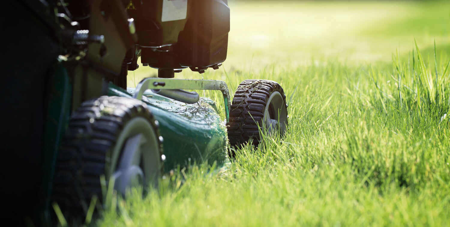Why You Should Leave Your Grass Clippings