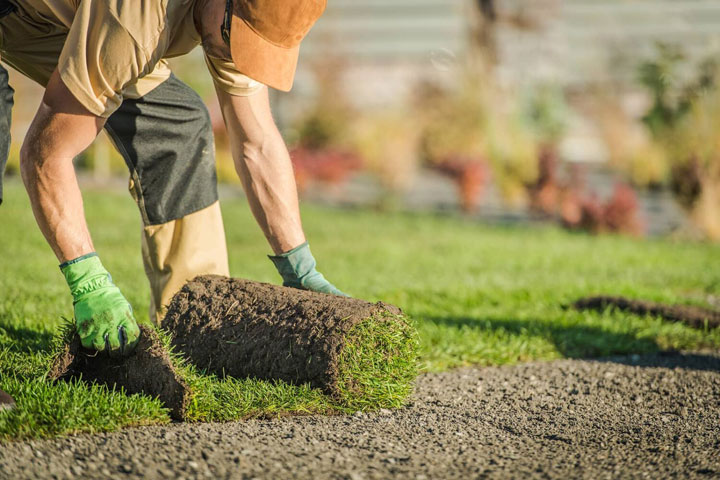 Sod Installation In Markham Ontario