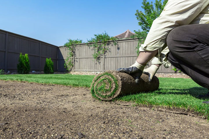 Sod Installation Markham