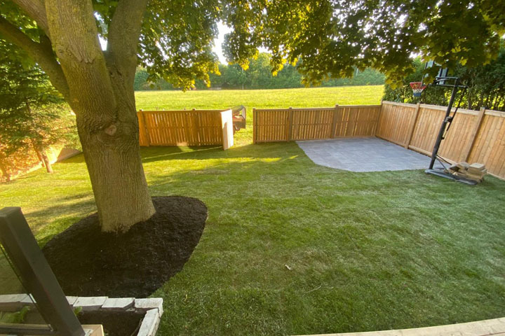 Toronto Sod Installation After Image