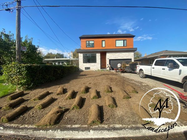 What Is Sod Installation Toronto