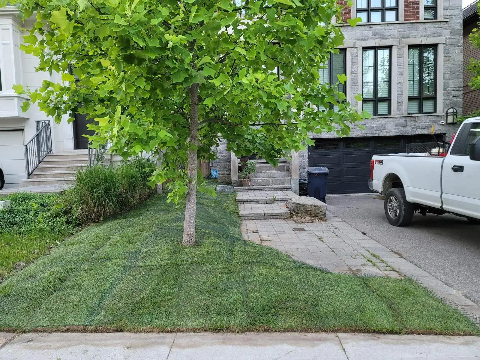 Well-maintained lawn and landscaping around a house, illustrating lawn mowing services and property maintenance.